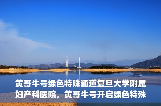 黄哥牛号绿色特殊通道复旦大学附属妇产科医院，黄哥牛号开启绿色特殊通道，复旦大学附属妇产科医院助力健康新篇章