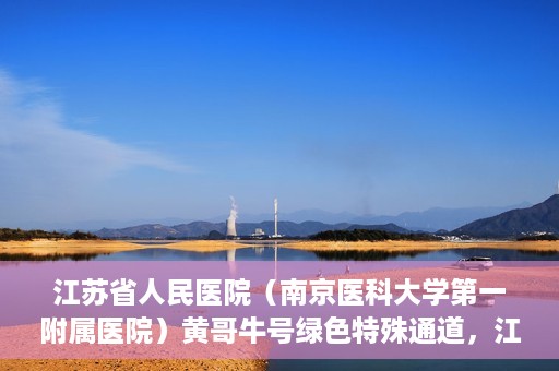 江苏省人民医院（南京医科大学第一附属医院）黄哥牛号绿色特殊通道，江苏省人民医院绿色特殊通道，黄哥牛号的医疗速度与温情服务