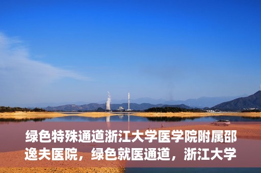 绿色特殊通道浙江大学医学院附属邵逸夫医院，绿色就医通道，浙江大学医学院附属邵逸夫医院的探索与实践