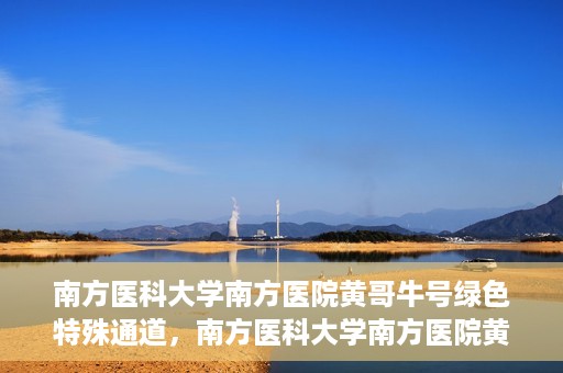 南方医科大学南方医院黄哥牛号绿色特殊通道，南方医科大学南方医院黄哥牛号，绿色特殊通道开启健康之门