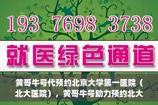 黄哥牛号代预约北京大学第一医院（北大医院），黄哥牛号助力预约北大医院——北京大学第一医院权威预约服务开启