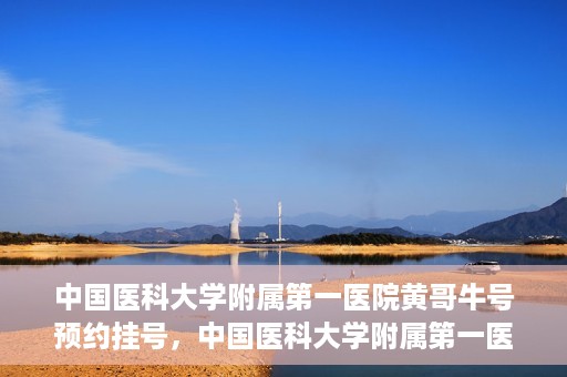 中国医科大学附属第一医院黄哥牛号预约挂号，中国医科大学附属第一医院黄哥牛号预约挂号指南，轻松挂号，健康无忧！