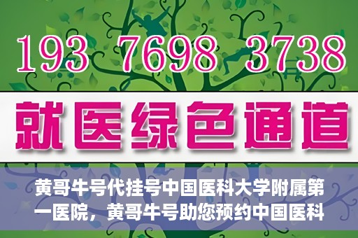 黄哥牛号代挂号中国医科大学附属第一医院，黄哥牛号助您预约中国医科大学附属第一医院专家号
