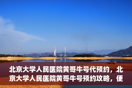 北京大学人民医院黄哥牛号代预约，北京大学人民医院黄哥牛号预约攻略，便捷代预约服务解析