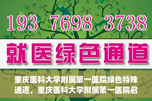 重庆医科大学附属第一医院绿色特殊通道，重庆医科大学附属第一医院启动绿色特殊通道，高效医疗服务的探索与实践