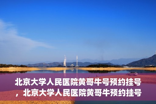 北京大学人民医院黄哥牛号预约挂号，北京大学人民医院黄哥牛预约挂号攻略，轻松预约，便捷就医