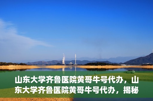 山东大学齐鲁医院黄哥牛号代办，山东大学齐鲁医院黄哥牛号代办，揭秘背后的故事与真相