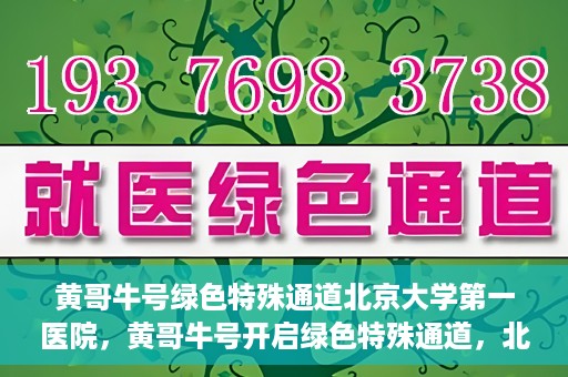 黄哥牛号绿色特殊通道北京大学第一医院，黄哥牛号开启绿色特殊通道，北京大学第一医院全力护航健康之路