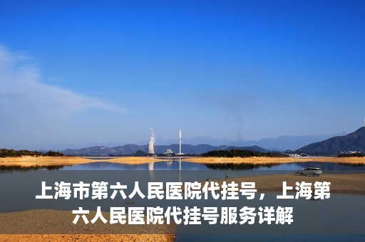 上海市第六人民医院代挂号，上海第六人民医院代挂号服务详解