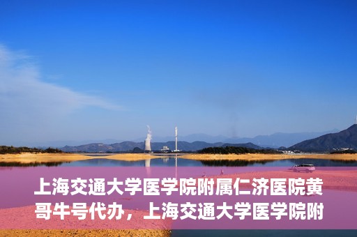 上海交通大学医学院附属仁济医院黄哥牛号代办，上海交通大学医学院附属仁济医院黄哥牛号代办服务详解