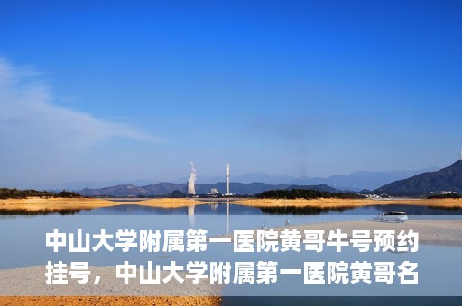 中山大学附属第一医院黄哥牛号预约挂号，中山大学附属第一医院黄哥名医牛号预约挂号攻略