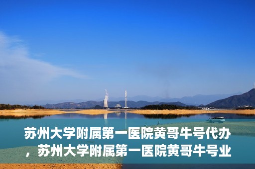 苏州大学附属第一医院黄哥牛号代办，苏州大学附属第一医院黄哥牛号业务代办攻略