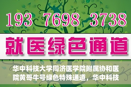 华中科技大学同济医学院附属协和医院黄哥牛号绿色特殊通道，华中科技大学同济医学院附属协和医院黄哥牛号绿色就医特殊通道揭秘