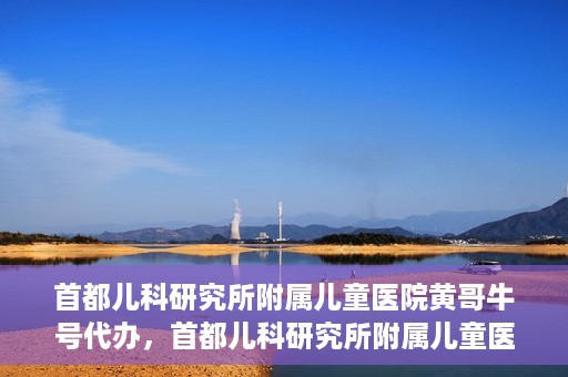 首都儿科研究所附属儿童医院黄哥牛号代办，首都儿科研究所附属儿童医院黄哥牛号业务代办全解析