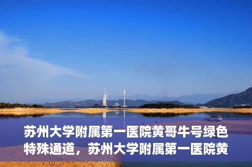 苏州大学附属第一医院黄哥牛号绿色特殊通道，苏州大学附属第一医院黄哥牛号，绿色特殊通道的守护力量