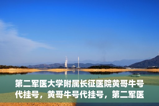 第二军医大学附属长征医院黄哥牛号代挂号，黄哥牛号代挂号，第二军医大学附属长征医院的便捷就医之路