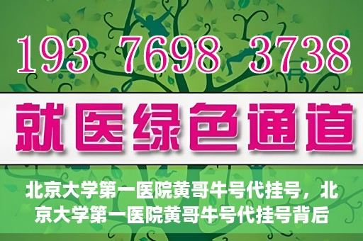北京大学第一医院黄哥牛号代挂号，北京大学第一医院黄哥牛号代挂号背后的故事与真相探索