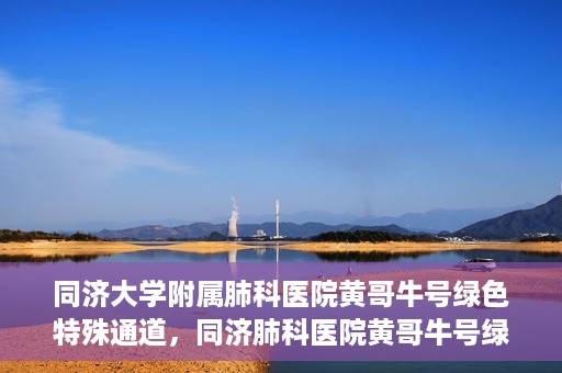 同济大学附属肺科医院黄哥牛号绿色特殊通道，同济肺科医院黄哥牛号绿色特殊通道揭秘