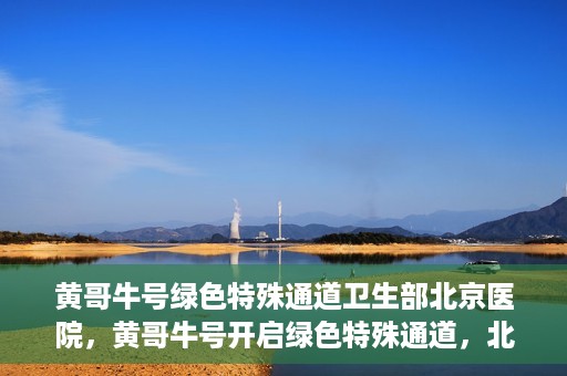黄哥牛号绿色特殊通道卫生部北京医院，黄哥牛号开启绿色特殊通道，北京医院卫生部全力支持创新服务