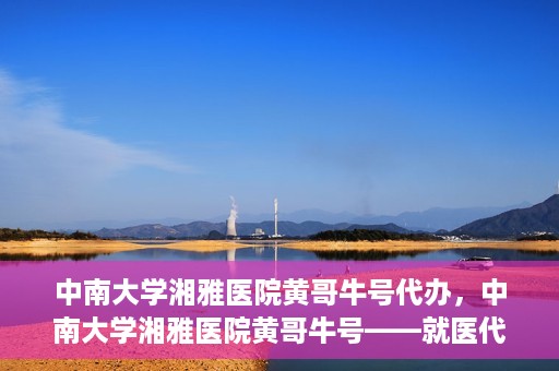 中南大学湘雅医院黄哥牛号代办，中南大学湘雅医院黄哥牛号——就医代办服务详解