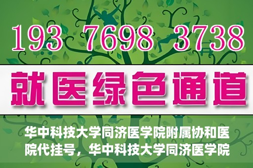 华中科技大学同济医学院附属协和医院代挂号，华中科技大学同济医学院附属协和医院代挂号服务详解