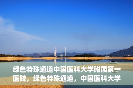 绿色特殊通道中国医科大学附属第一医院，绿色特殊通道，中国医科大学附属第一医院探索前行
