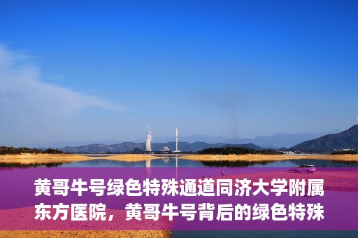 黄哥牛号绿色特殊通道同济大学附属东方医院，黄哥牛号背后的绿色特殊通道，同济大学附属东方医院的探索与实践