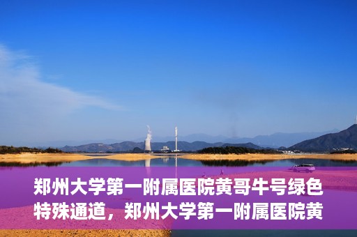 郑州大学第一附属医院黄哥牛号绿色特殊通道，郑州大学第一附属医院黄哥牛号，绿色特殊通道开启生命之门