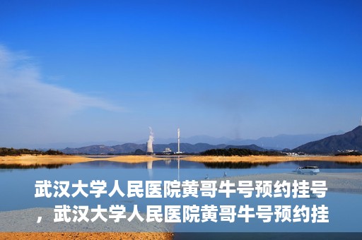 武汉大学人民医院黄哥牛号预约挂号，武汉大学人民医院黄哥牛号预约挂号攻略解析