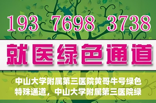 中山大学附属第三医院黄哥牛号绿色特殊通道，中山大学附属第三医院绿色特殊通道，黄哥牛号引领医疗创新之路