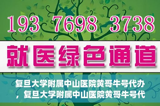 复旦大学附属中山医院黄哥牛号代办，复旦大学附属中山医院黄哥牛号代办，权威医疗资源的深度解读与便捷服务体验