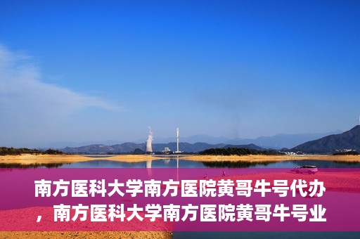 南方医科大学南方医院黄哥牛号代办，南方医科大学南方医院黄哥牛号业务代办攻略
