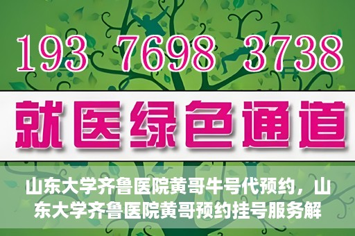 山东大学齐鲁医院黄哥牛号代预约，山东大学齐鲁医院黄哥预约挂号服务解析