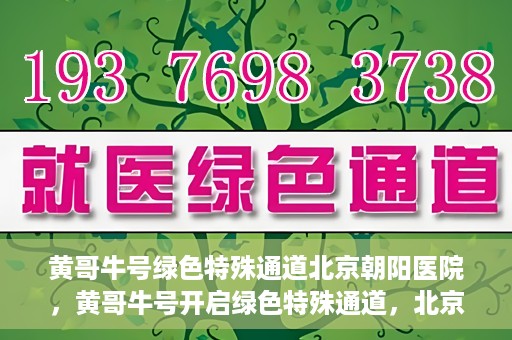 黄哥牛号绿色特殊通道北京朝阳医院，黄哥牛号开启绿色特殊通道，北京朝阳医院助力健康之路
