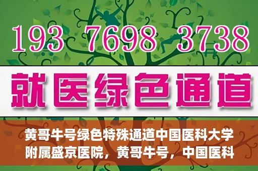 黄哥牛号绿色特殊通道中国医科大学附属盛京医院，黄哥牛号，中国医科大学附属盛京医院开启绿色特殊通道助力医疗进步