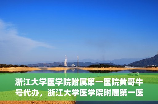 浙江大学医学院附属第一医院黄哥牛号代办，浙江大学医学院附属第一医院黄哥牛号业务代办全攻略