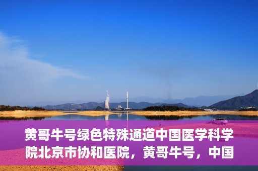 黄哥牛号绿色特殊通道中国医学科学院北京市协和医院，黄哥牛号，中国医学科学院北京市协和医院开启绿色特殊通道助力健康前行