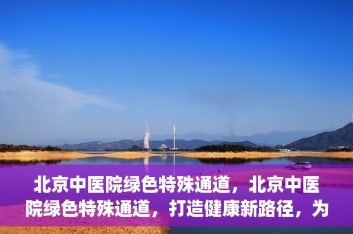 北京中医院绿色特殊通道，北京中医院绿色特殊通道，打造健康新路径，为患者解忧解困