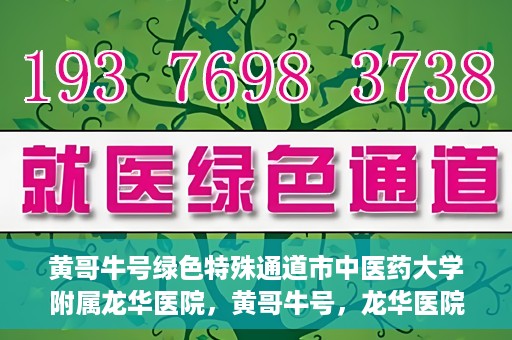 黄哥牛号绿色特殊通道市中医药大学附属龙华医院，黄哥牛号，龙华医院开启绿色特殊通道，倡导中医药文化传承