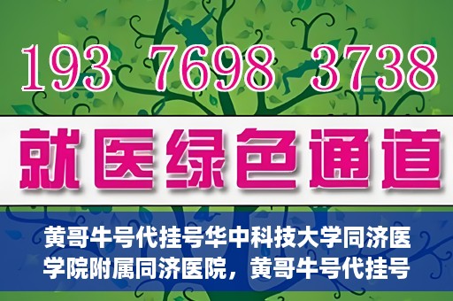 黄哥牛号代挂号华中科技大学同济医学院附属同济医院，黄哥牛号代挂号背后的同济医院就医故事