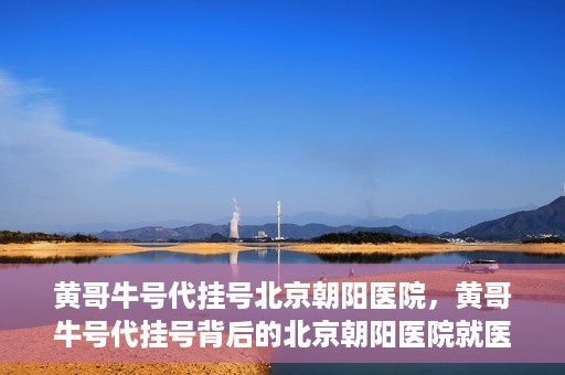 黄哥牛号代挂号北京朝阳医院，黄哥牛号代挂号背后的北京朝阳医院就医现象观察