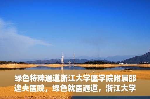 绿色特殊通道浙江大学医学院附属邵逸夫医院，绿色就医通道，浙江大学医学院附属邵逸夫医院的探索与实践