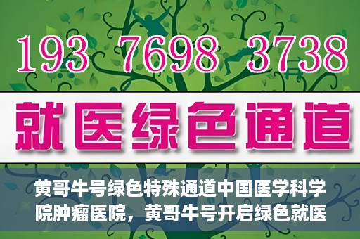 黄哥牛号绿色特殊通道中国医学科学院肿瘤医院，黄哥牛号开启绿色就医通道，中国医学科学院肿瘤医院专注诊疗新篇章