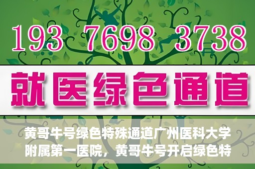黄哥牛号绿色特殊通道广州医科大学附属第一医院，黄哥牛号开启绿色特殊通道，广州医科大学附属第一医院创新医疗体验