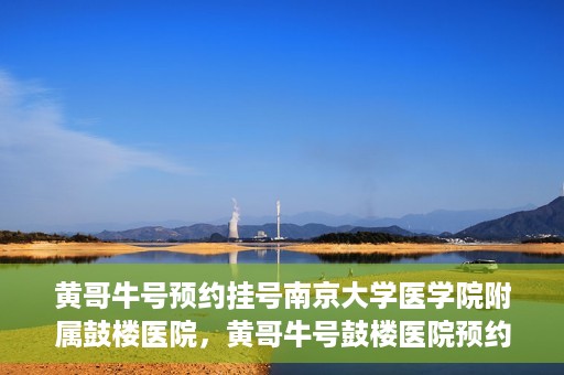 黄哥牛号预约挂号南京大学医学院附属鼓楼医院，黄哥牛号鼓楼医院预约挂号启动，便捷就医新体验