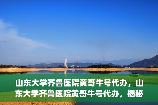 山东大学齐鲁医院黄哥牛号代办，山东大学齐鲁医院黄哥牛号代办，揭秘背后的故事与真相