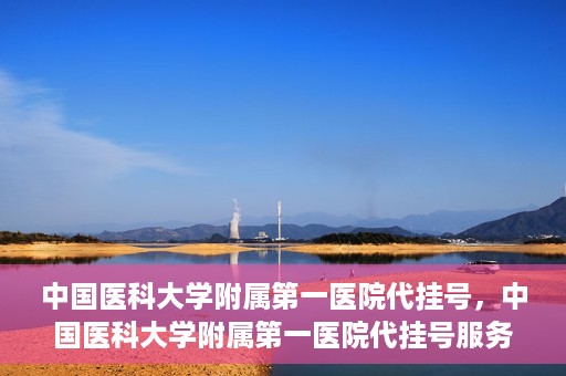 中国医科大学附属第一医院代挂号，中国医科大学附属第一医院代挂号服务详解