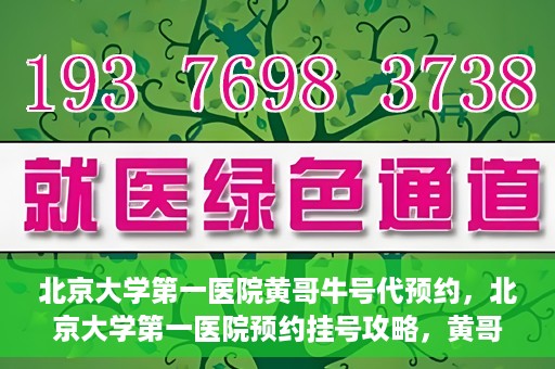 北京大学第一医院黄哥牛号代预约，北京大学第一医院预约挂号攻略，黄哥牛号预约详解