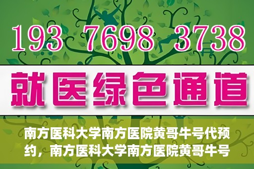南方医科大学南方医院黄哥牛号代预约，南方医科大学南方医院黄哥牛号预约服务解析