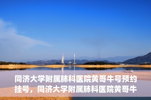 同济大学附属肺科医院黄哥牛号预约挂号，同济大学附属肺科医院黄哥牛预约挂号攻略，轻松预约专家号